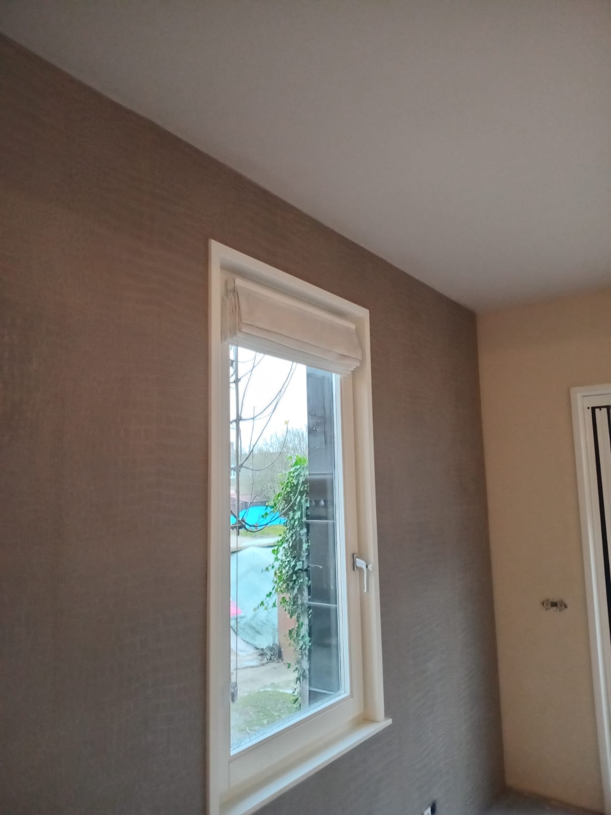 Renovlies behang Den Haag